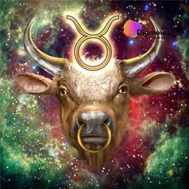Stier Diamond Painting for you